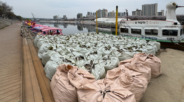 동촌유원지 폐기물 포대 방치에 벚꽃 행락객 '눈살'