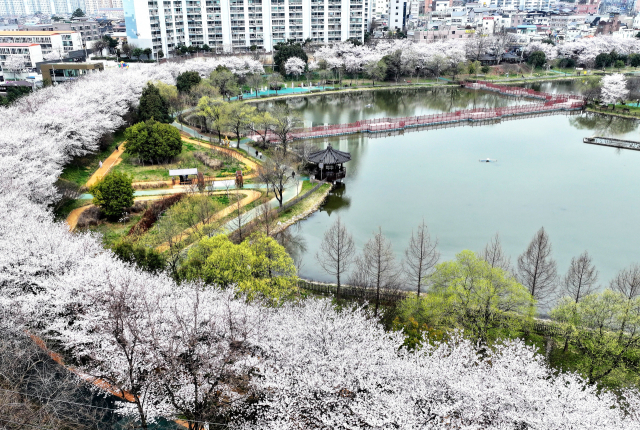 4월 분양 4만세대 '봄 성수기'…대구경북은 1천258가구 