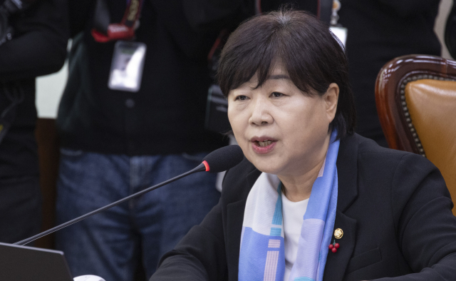 與, 새 법사위원장에 서영교 추천…행안위원장은 권칠승