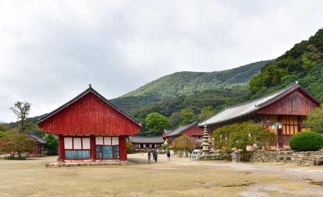 천년고찰 선운사의 모습. 사진제공=시인, 사진작가 김판용