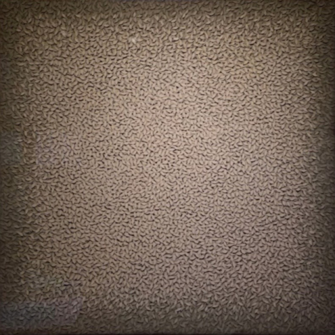 [전시속으로] 층층이 쌓인 나뭇잎, 그 속에 흐르는 기억과 감정