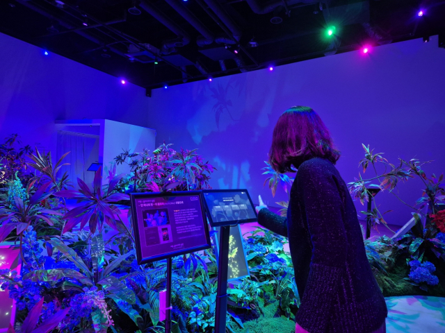 경주 라원 디지털 정원 모습. 경주시 제공