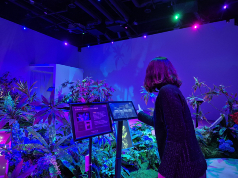 빛과 미디어·,자연 어우러진 정원… 경주 '라원' 3일 개장