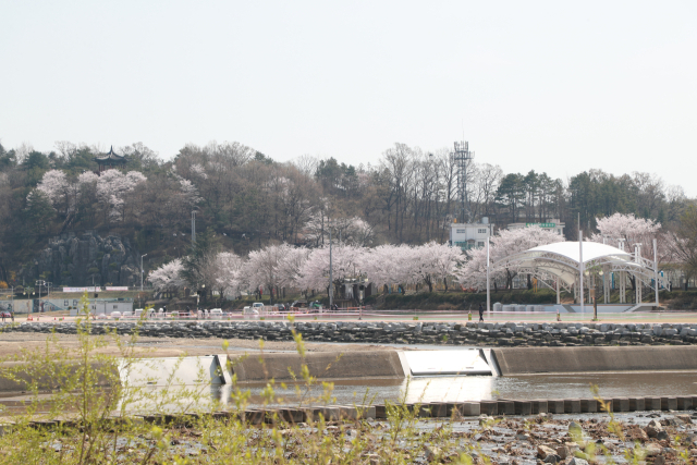 도민체전 열리는 예천 가면…경기장 밖 '봄 축제' 시작