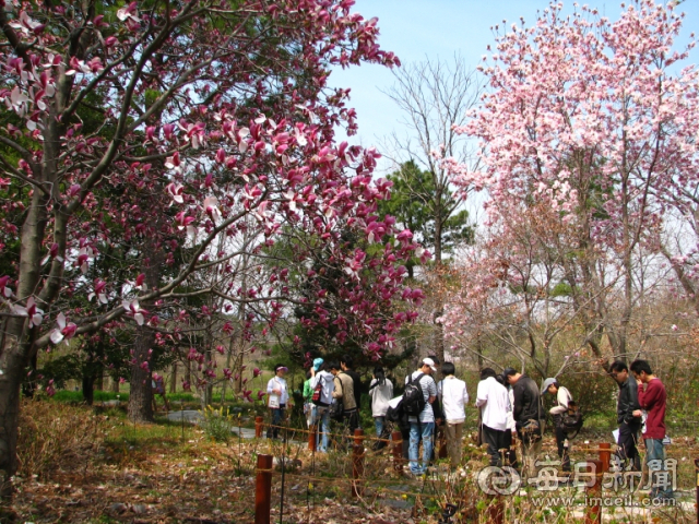 포항 기청산식물원에서 관람객들이 봄 꽃망울 사이에서 휴식을 즐기고 있다. 포항시 제공