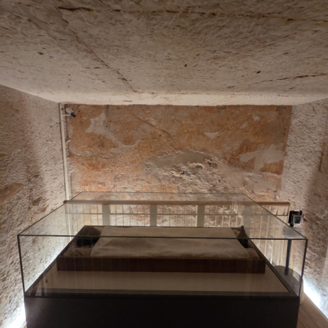 검은 미라가 된 투탕카멘, 세계에서 가장 유명한 파라오