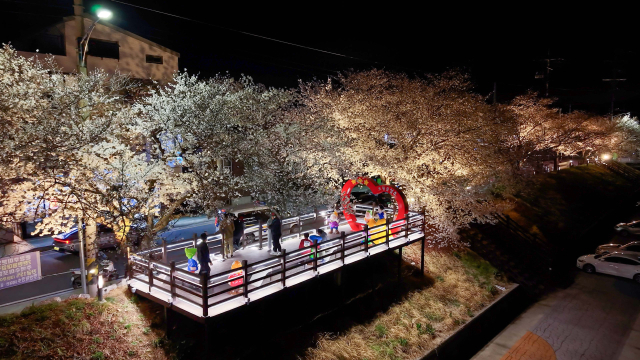 성주군은 성밖숲에 야간경관 포토존을 설치했다. 성주군 제공