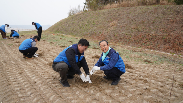 국립울진해양과학관 식목 행사