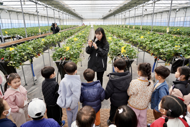 채송화 씨가 농촌교육농장을 찾은 아이들에게 딸기의 생육 과정 등에 대해 설명하고 있다. 채송화 씨 제공
