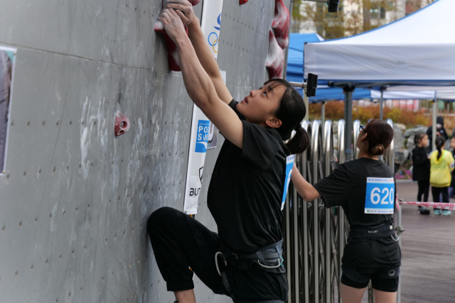 청소년 스포츠클라이밍대회 중 남자 리드 경기 장면.