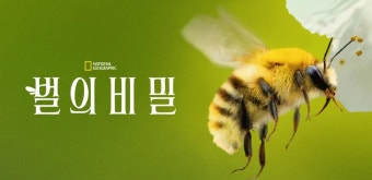 작지만 위대한 존재 '벌의 비밀' 