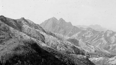 [김용삼의 근대사] 산림녹화 원조는 조선총독부