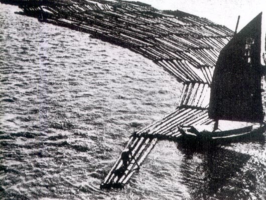 압록강 상류 지역 원시림을 베어 수탈해 갔다는 주장이 