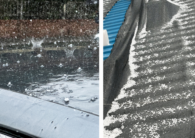 [포토뉴스] 우박까지...봄비 치곤 요란하네