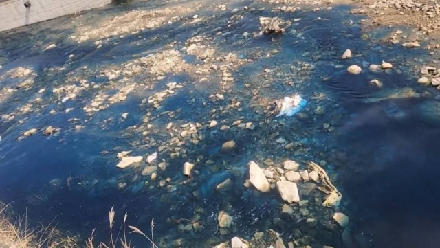 영주시 봉현면 백분소하천이 녹색 염료로 오염돼 있다. 페이스 북 갭처