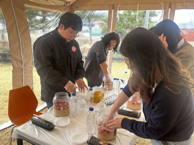 영주시농업기술센터 유통지원과 직원들이 딸기 막걸리를 만들고 있다. 영주시 제공