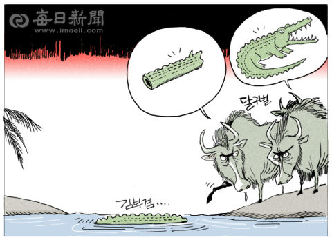 [매일희평] 안심하고 건너보자!...안된다 또 속는다!