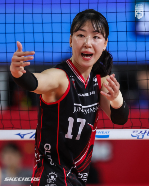 여자 프로배구 FA 시장 열렸다…여자부 최대어는 정호영