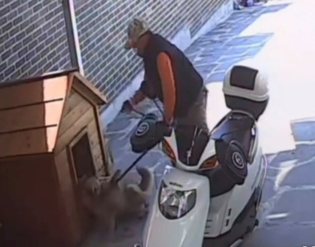 가정집에 침입해 살아있는 반려견 끌고 간 개장수, 경찰에 붙잡혀