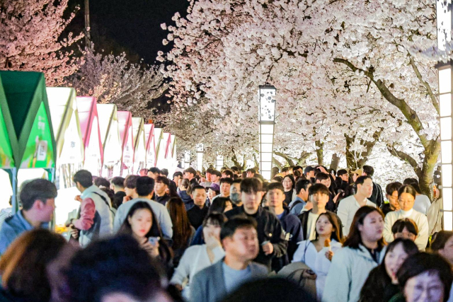 김천시 인구의 2배를 넘는 30만명의 방문객이 몰린 연화지 벚꽃축제 모습.김천시 제공