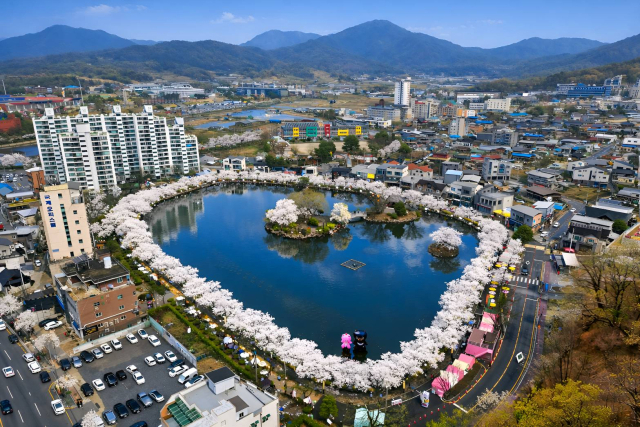 김천시 인구의 2배를 넘는 30만명의 방문객이 몰린 연화지 벚꽃축제 모습.김천시 제공