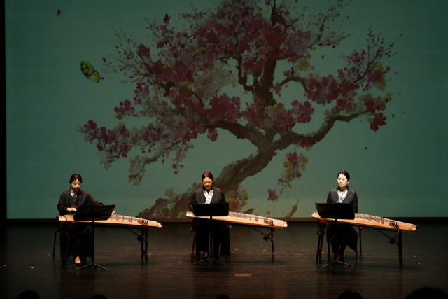 화요국악 가야금3중주 연주 모습. 대구문화예술진흥원