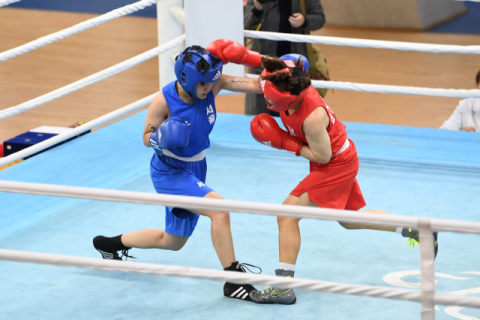 국내 최대 규모 복싱대회, 14일부터 24일까지 영주에서 막 오른다
