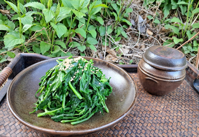 [이야기로 만나는 약선(藥膳)] 울릉도의 '부지기아초(不知飢餓草)', 부지깽이나물