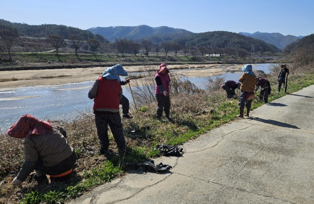 영주 문수면 새마을부녀회 회원들이 월호리 자전거 도로에 난 잡초를 제거하고 있다. 영주시 제공