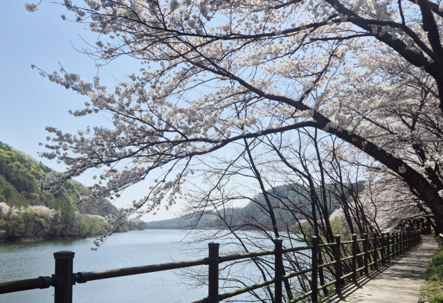 봉화 오전약수탕, 봄맞이 대청소…관광지 재도약 '시동'