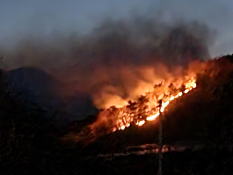 상주시 화서면 야산 산불 발생…화선길이 100m, 주민 대피 조치