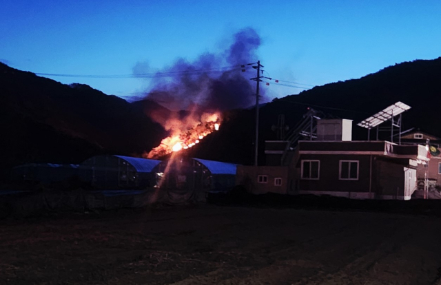 상주시 화서면 사산리 364-2번지 인근 야산에 불이 번지고 있다. 경북소방본부 제공