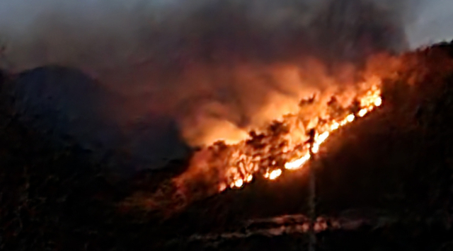 상주 화서면 화선길이 100m 산불…주민 대피 조치