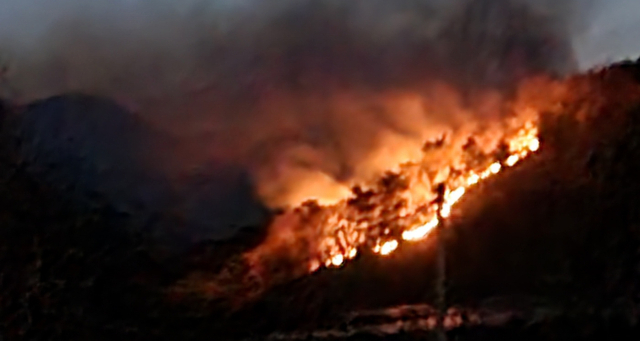 상주 화서면 화선길이 100m 산불…주민 대피 조치