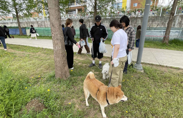 영진전문대학교 동물보건과 전공연구회 