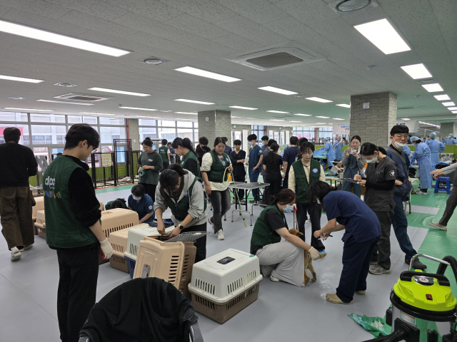 안동과학대학교 반려동물케어과 학생과 교수진으로 구성된 봉사단이 지역 유기동물보호센터를 방문해 정기 봉사활동을 펼친 후 기념촬영을 하고 있다. 안동과학대 제공