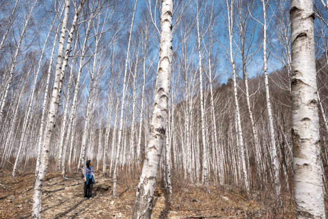 [김도훈 기자의 아웃도어 라이프]경북 영양에서 보낸 1박2일…깊은 오지 속살에 마음을 빼앗기다