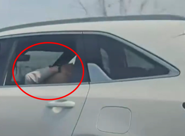 보배드림 인스타그램