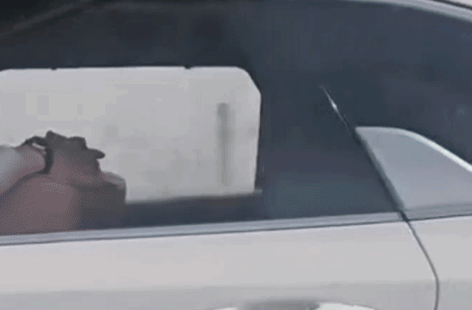 보배드림 인스타그램