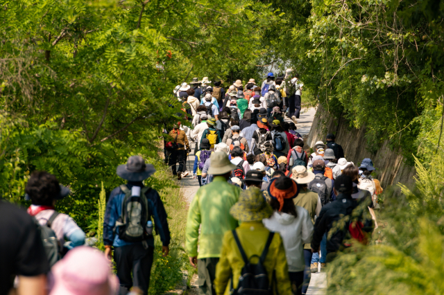 동서트레일 영주구간인 죽령 옛길을 많은 사람들이 걷고 있다. 영주시 제공