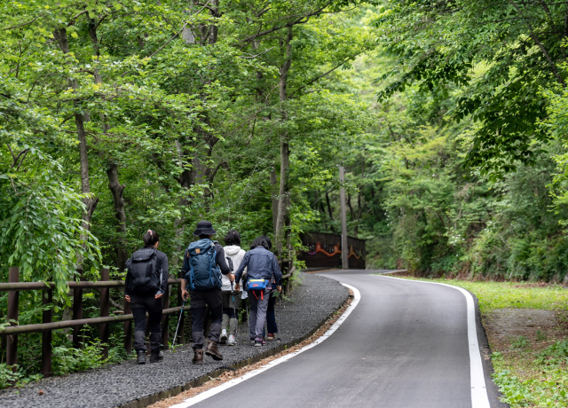 봄철 걷기 명소인 동서트레일 영주 구간을 관광객들이 걷고 있다. 영주시 제공