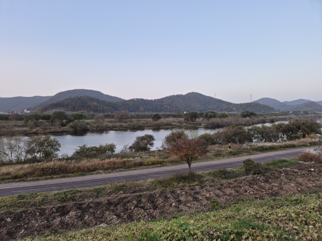 대구 다사 금호강변 데크 개선·꽃길 조성…2027년 착공 목표