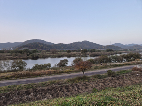 대구 다사 금호강변 데크 개선·꽃길 조성…2027년 착공 목표