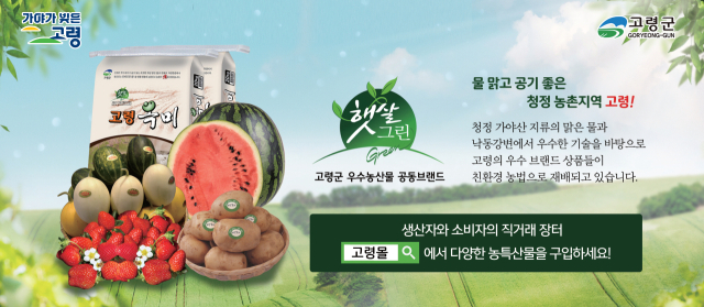 고령의 농특산물.