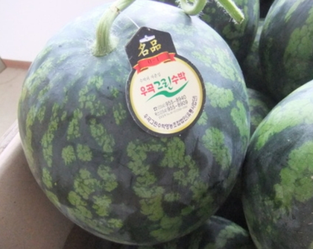 우곡그린수박.