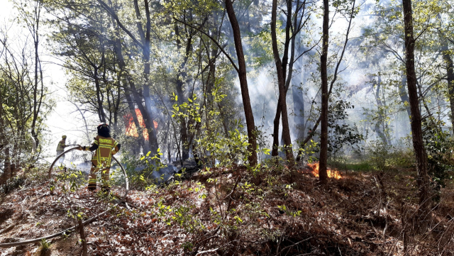 영천시 문외동 야산 화재 진화 모습. 경북소방본부 제공