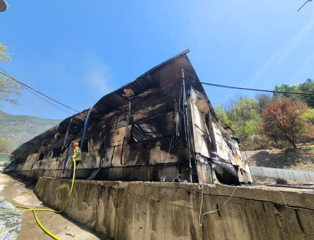 영천시 신녕면 돼지 농장 화재 현장. 경북소방본부 제공