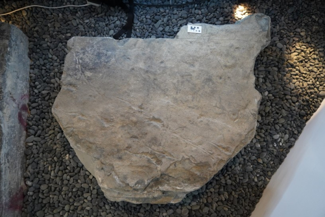 진주 익룡 발자국 화석. 김경수 교수 제공, 연합뉴스.