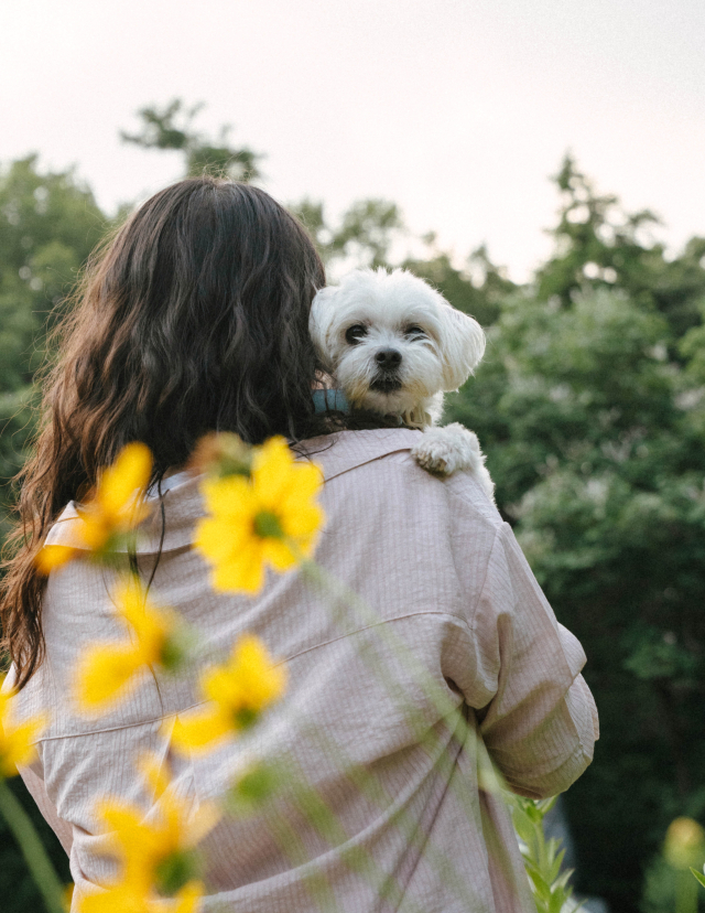 임지언 씨는 2024년 4월, 10살 순봉이를 입양했다. 사람 나이로 환산하면 60이다.