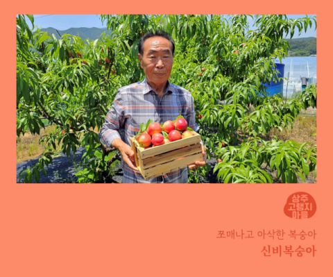 농식품 유통취약농가 판로 확대를 위해 이슬기 씨가 촬영 및 제작한 이웃 신비복숭아 재배농가의 온라인 판매창 이미지. 이슬기 씨 제공